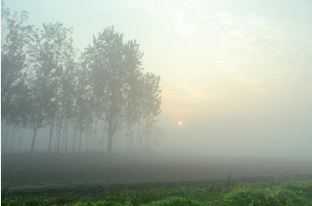 How to keep warm in winter; the natural way