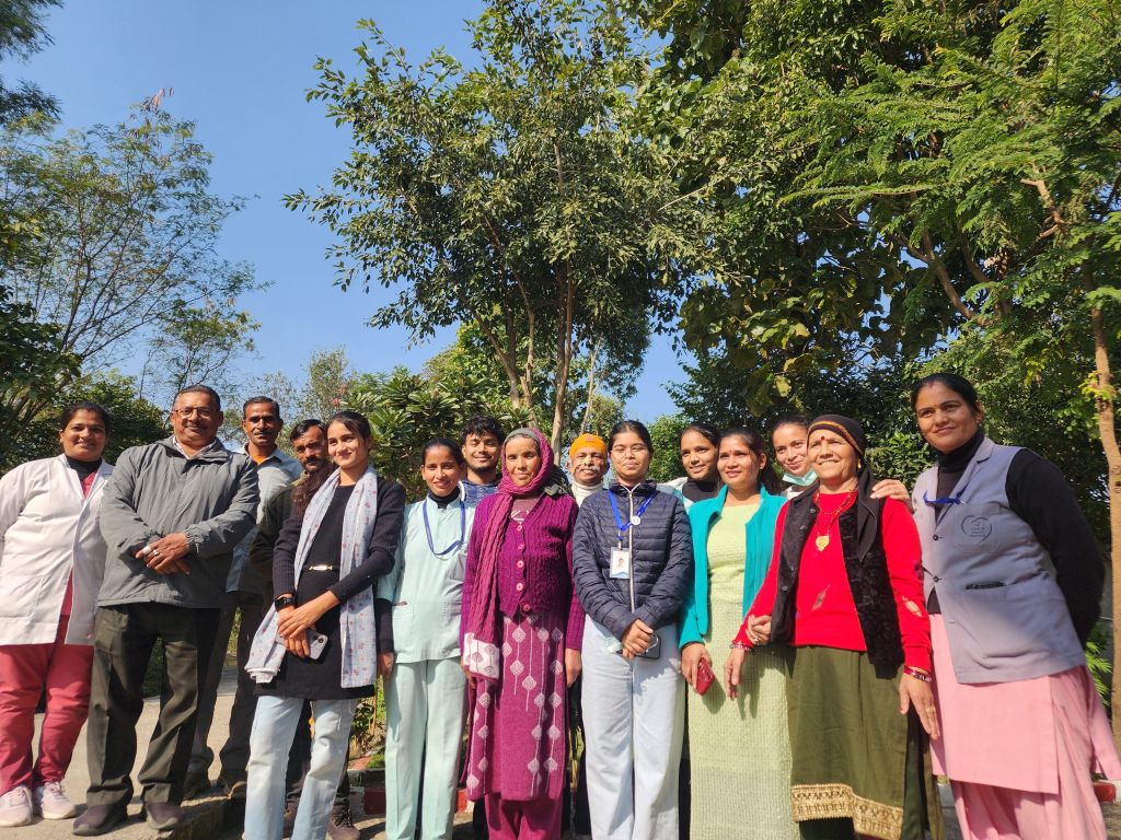 A day by a forest creek